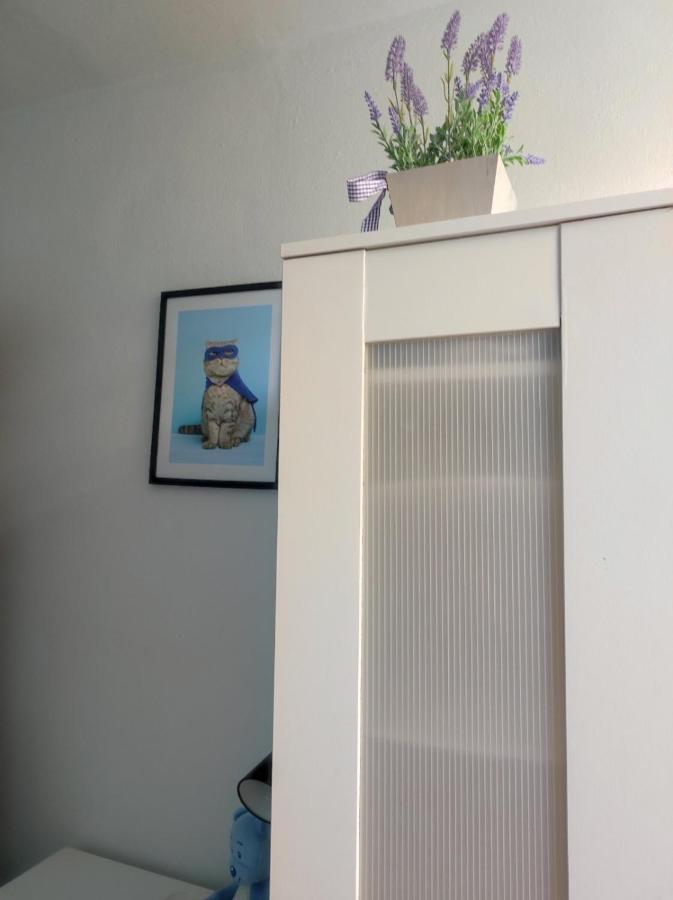 Single Room No.4 In The Very Center Of Varsovia Exterior foto